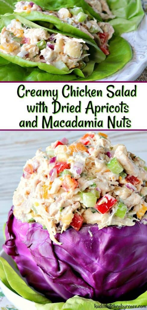 Sweet & Savory Creamy Chicken Salad Recipe with Dried Apricots & Macadamia Nuts makes a delicious summer meal when served in lettuce cups for a low-carb meal option, or between your favorite bread slices as a sandwich filling. Whichever way you choose to serve (and eat it), you're going to love this tasty combination of flavors and textures. - kudoskitchenbyrenee.com