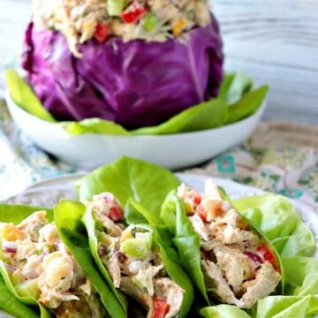 Sweet & Savory Creamy Chicken Salad Recipe with Dried Apricots & Macadamia Nuts makes a delicious summer meal when served in lettuce cups for a low-carb meal option, or between your favorite bread slices as a sandwich filling. Whichever way you choose to serve (and eat it), you're going to love this tasty combination of flavors and textures. - kudoskitchenbyrenee.com