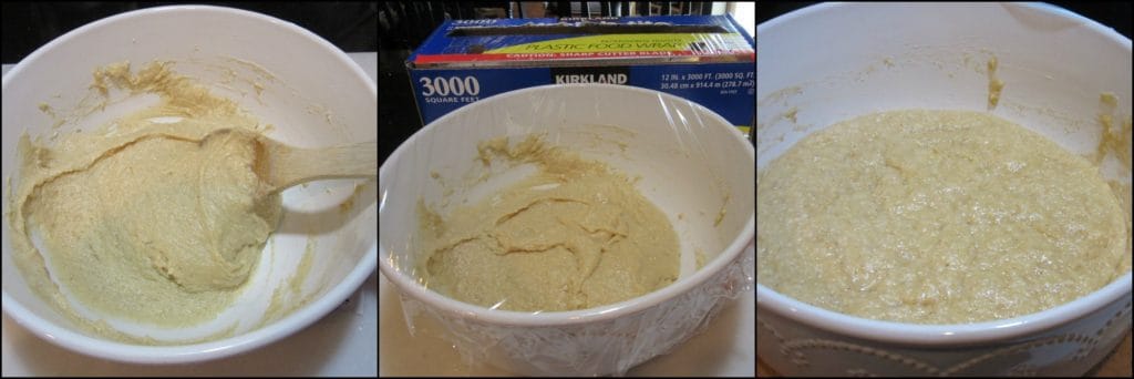  How to make No-Knead Apple Yeast Bread photo tutorial - kudoskitchenbyrenee.com