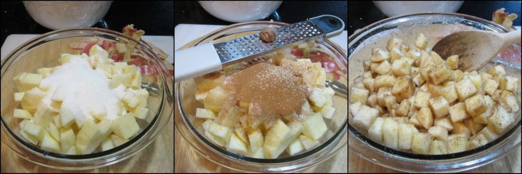  How to make No-Knead Apple Yeast Bread photo tutorial.