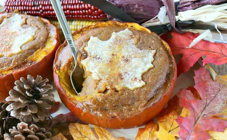 Rustic Pilgrim Pumpkin Pie Baked in a Pumpkin - kudoskitchenbyrenee.com