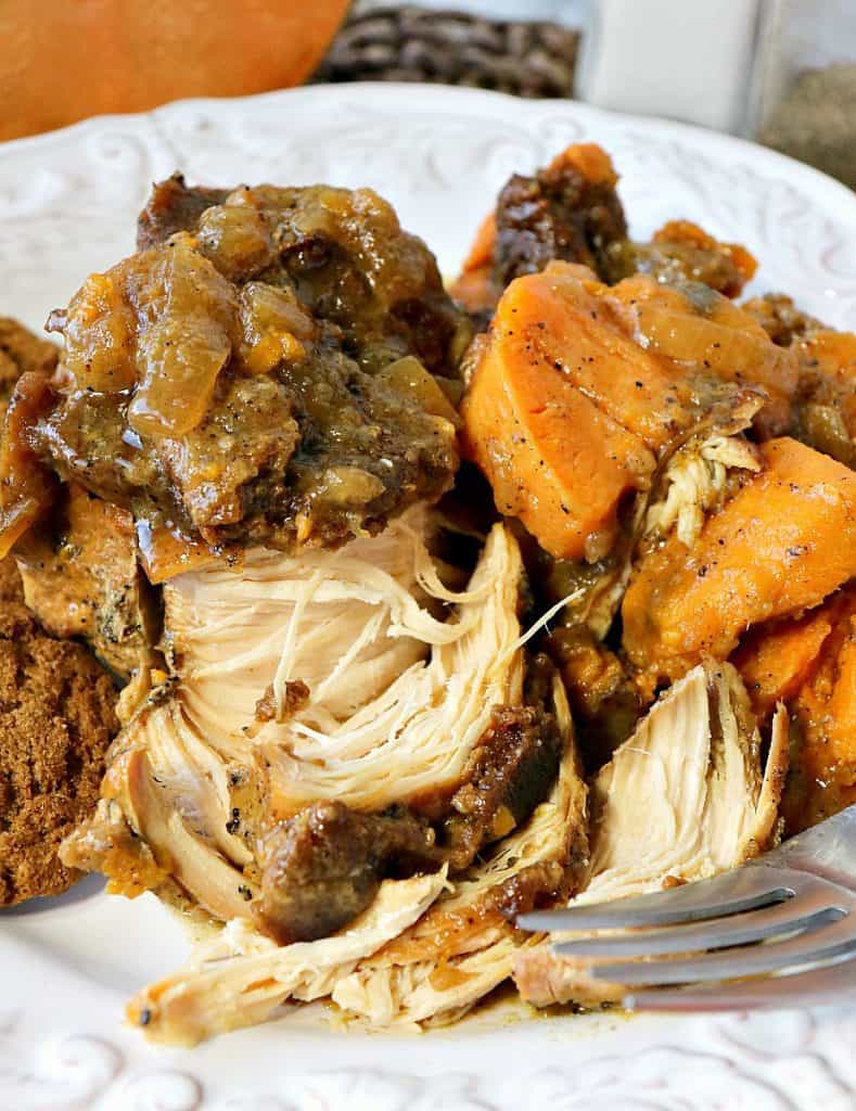 Closeup photo of apple cider braised chicken breasts with sweet potatoes and onions on a white plate.