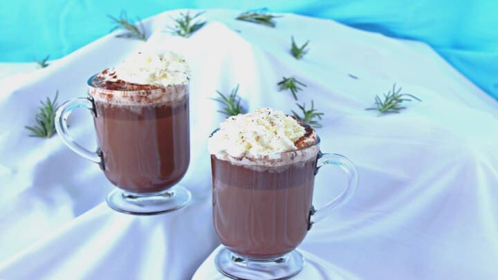 Two mugs of Vermont Hot Chocolate on a snow covered faux mountain with blue sky background.