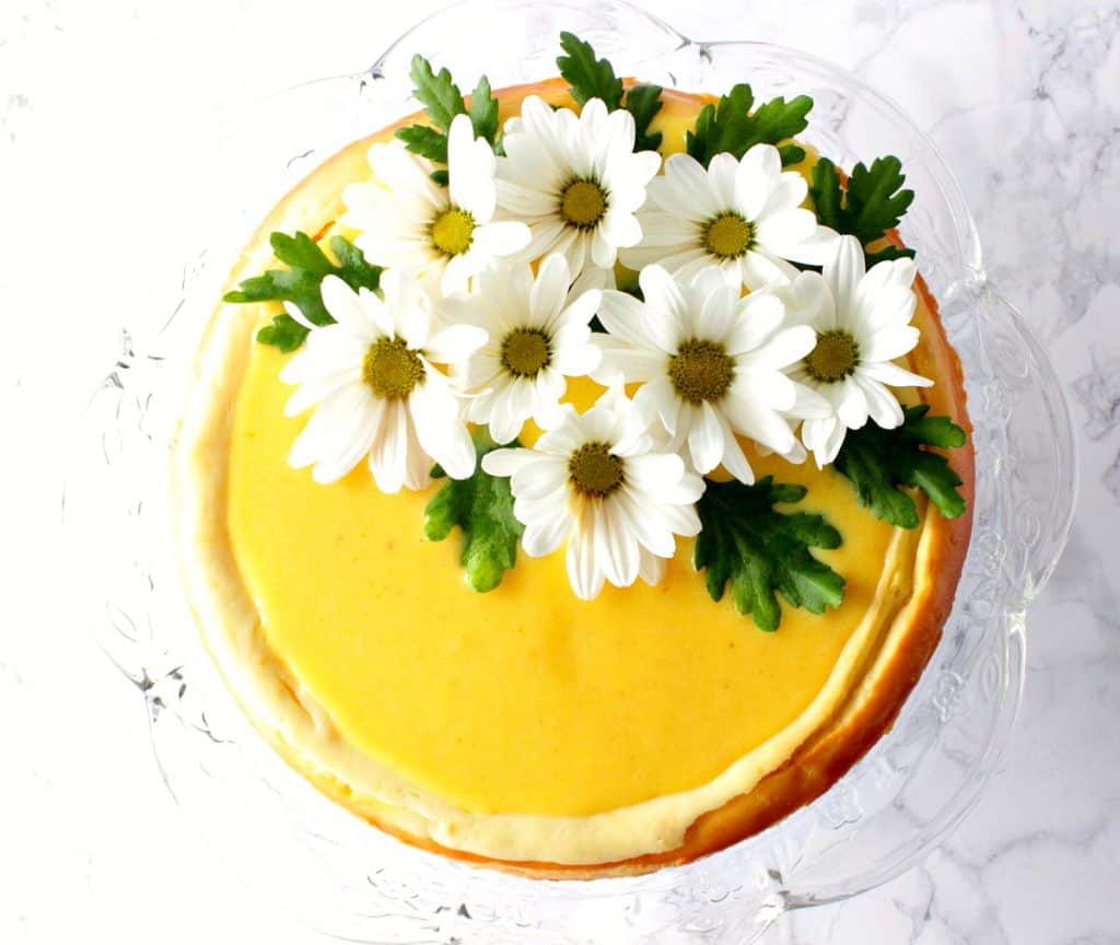 Overhead photo of lemon curd cheesecake with daisies.