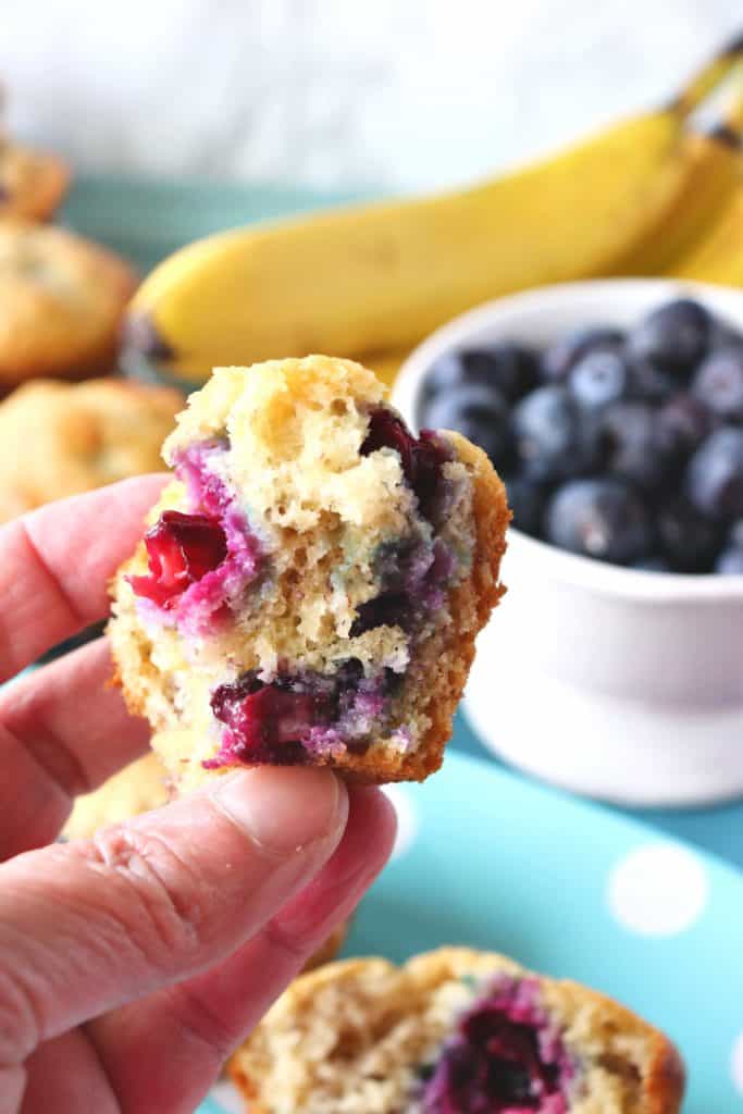 Closeup photo of a hand holding a blueberry muffin with bananas and blueberries in the background.