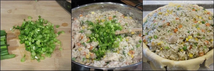 How to make chicken and rice pot pie photo tutorial.