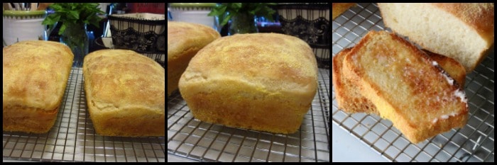 homemade English muffin bread hot out of the oven.