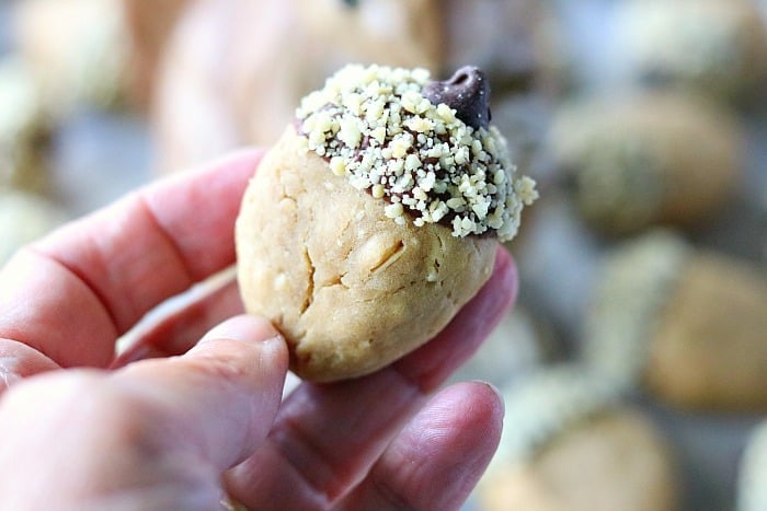 Closeup photo of a hand holding an acorn cookie with chocolate and chopped nuts.