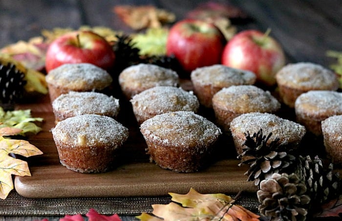 A dozen apple cider donut muffins on a brown board with pine cones and apples.