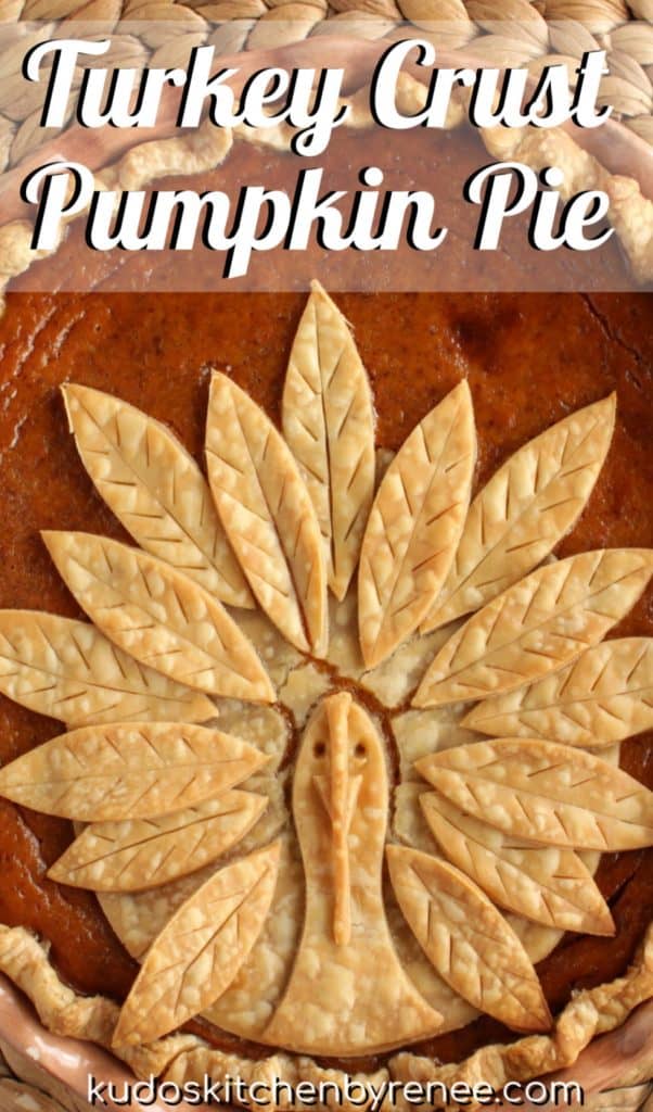 A closeup vertical overhead photo of a Turkey Crust Pumpkin Pie with pie crust body and feathers.