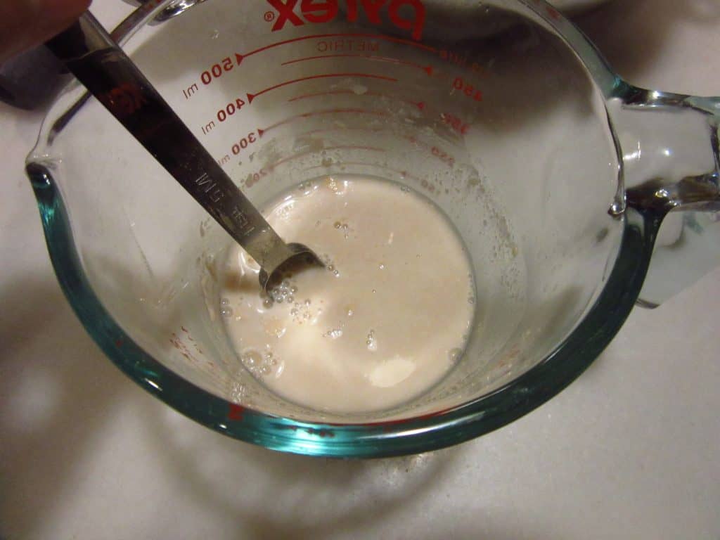 dry yeast and water in a bowl.