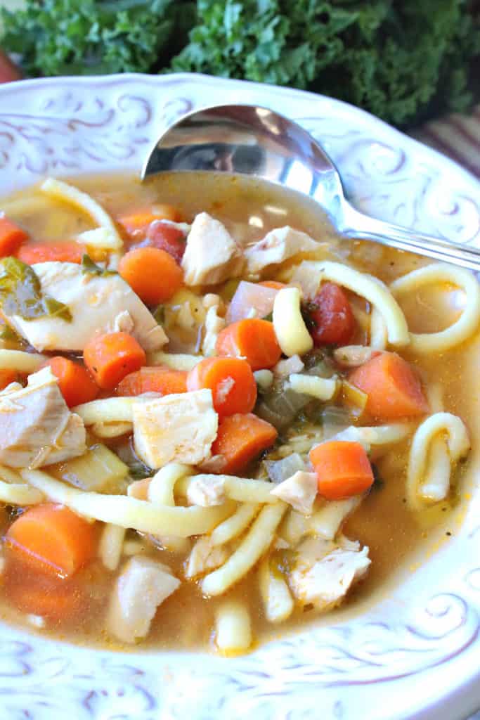 A vertical closeup photo of a bowl of chicken and leek soup with carrots, noodles, and kale, along with a soup spoon.