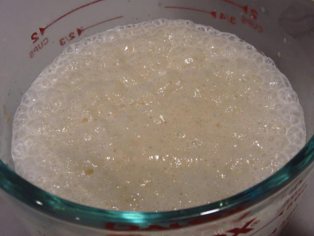 Foamy yeast.