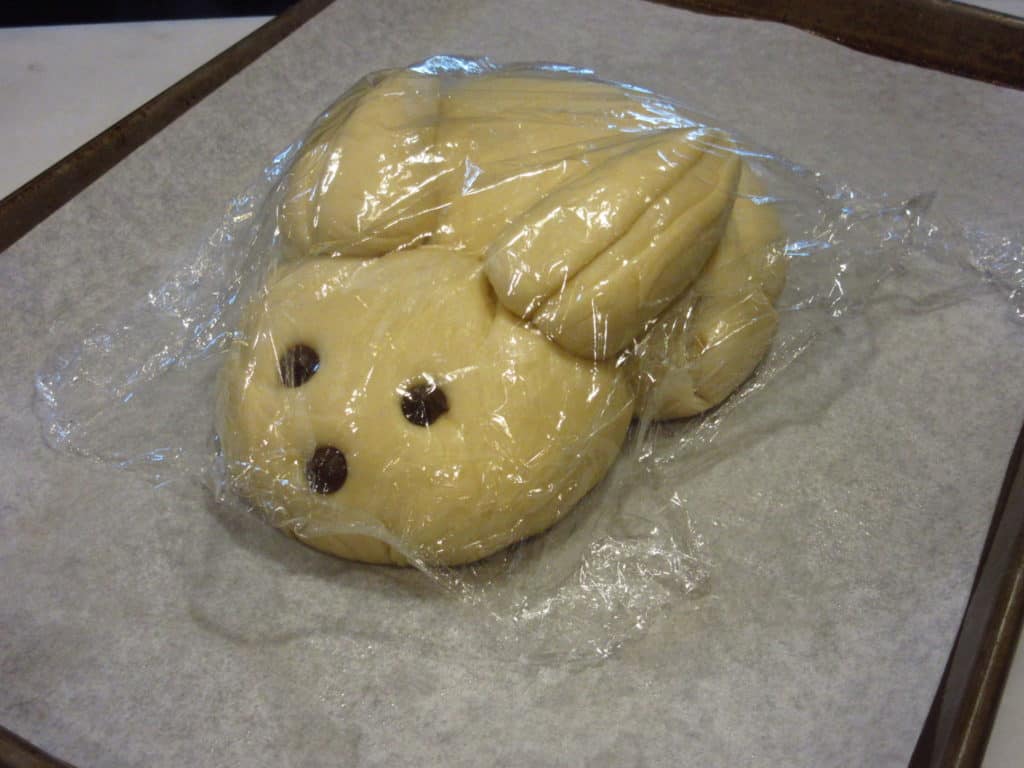 Unbaked bunny bread covered in plastic wrap.