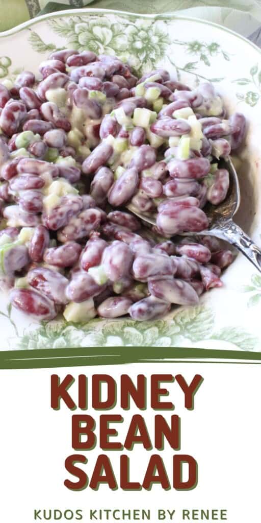 A spoonful of kidney bean salad in a green and white bowl.