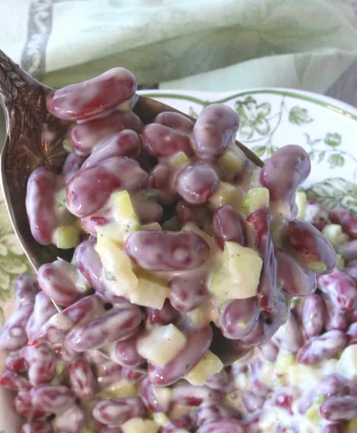 Vertical closeup photo of red bean salad with celery and scallions on a serving spoon.