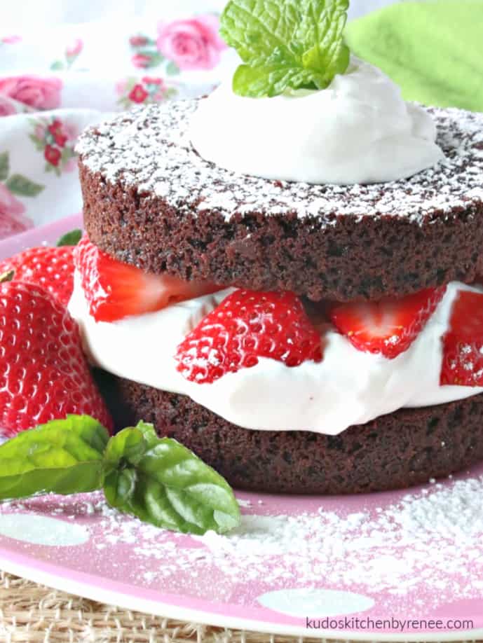 A closeup vertical photo os fresh strawberries and whipped cream in a brownie strawberry shortcake.