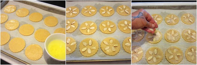 How to make sand dollar cookies photo tutorial. 