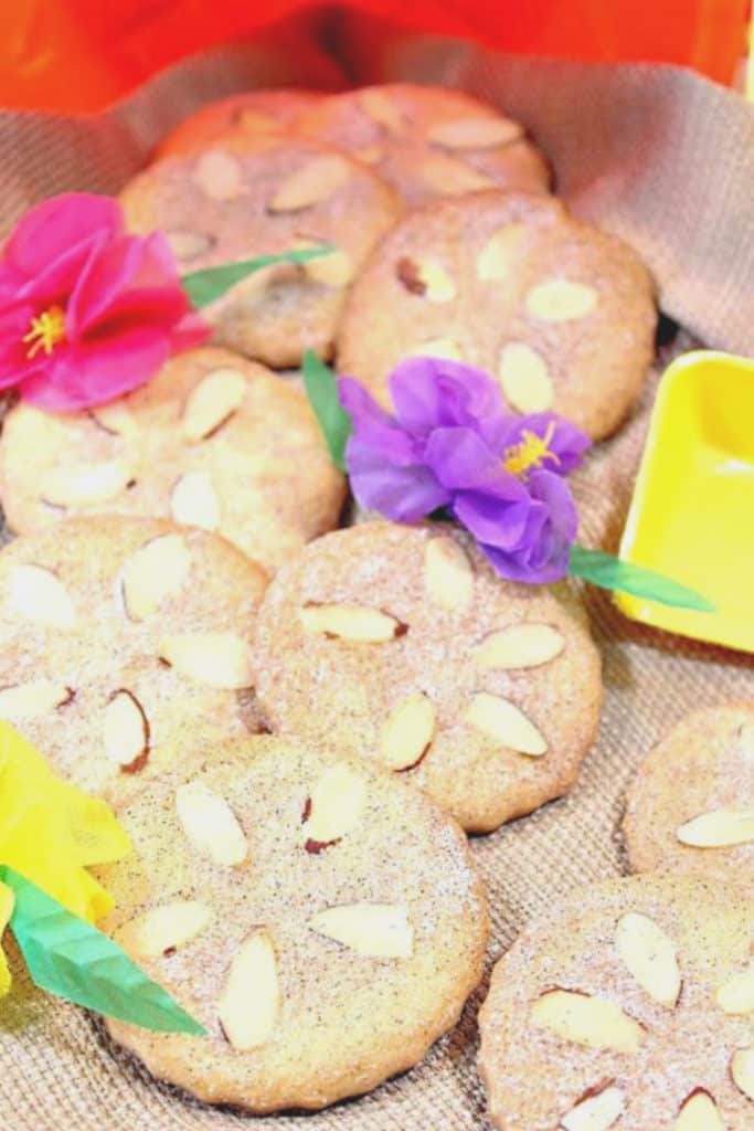 Closeup vertical photo of sand dollar cookies with cinnamon sugar and title text overlay graphic.