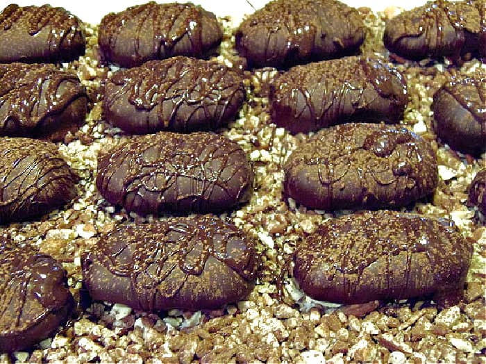 A closeup photo of Homemade Almond Joy Candy sitting on top of toasted nuts along with a dusting of cocoa powder