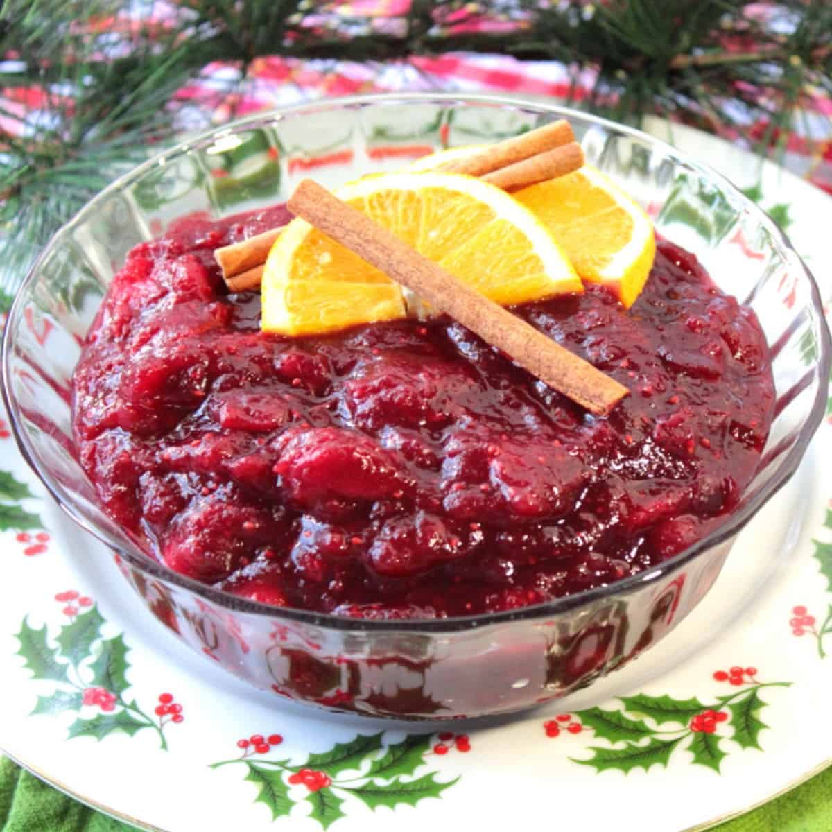 Jellied Cranberry Sauce - Beyond The Chicken Coop