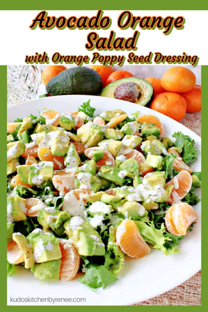 A vertical "framed" image of Avocado Orange Salad with Orange Poppy Seed Dressing in a white bowl.