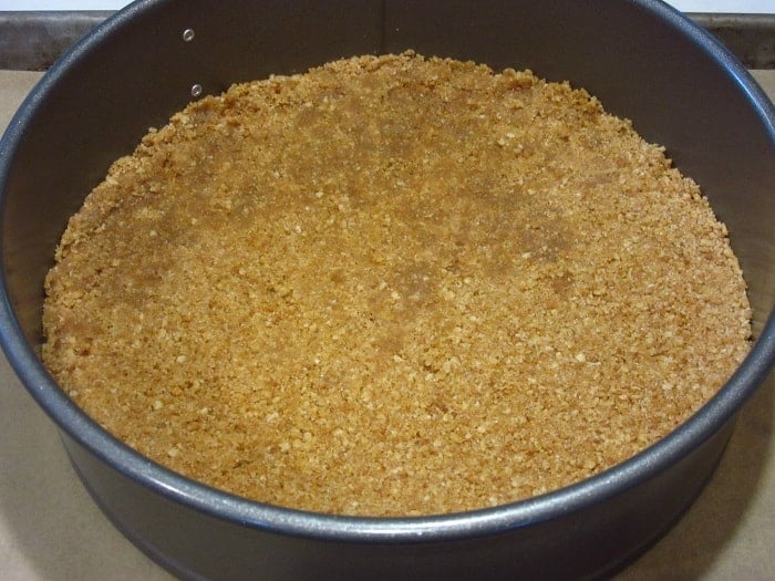 A cheesecake crust in a springform pan.