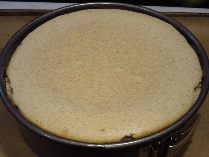 A baked cheesecake in a springform pan.