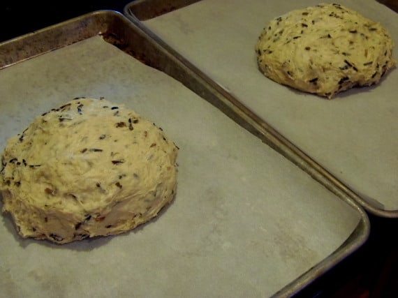 Two free form loaves of wild rice bread before baking.