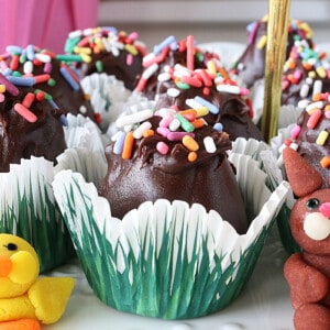 A Chocolate Peanut Butter Egg in a cute paper cup.