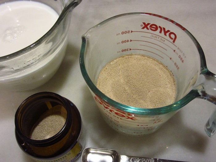 Dry yeast in a measuring cup with water.