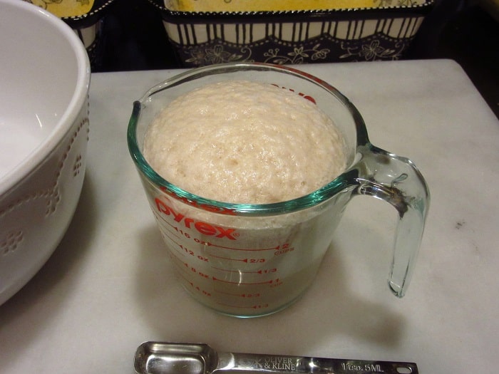 Foamy yeast in a glass measuring cup.