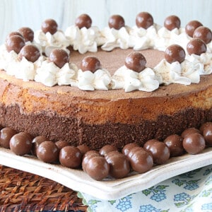 A luscious looking Malted Milk Ball Cheesecake with whipped cream and malted milk balls as garnish.