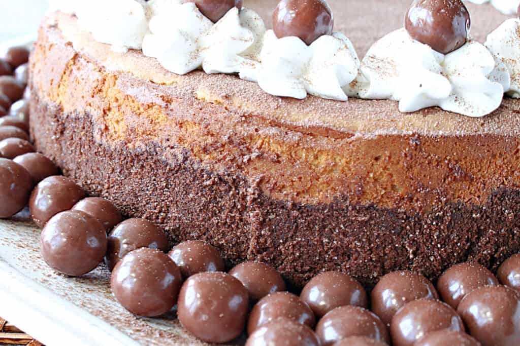 A closeup side view of a Malted Milk Ball Cheesecake with a chocolate graham cracker crust, whipped cream, and malted milk balls as garnish.