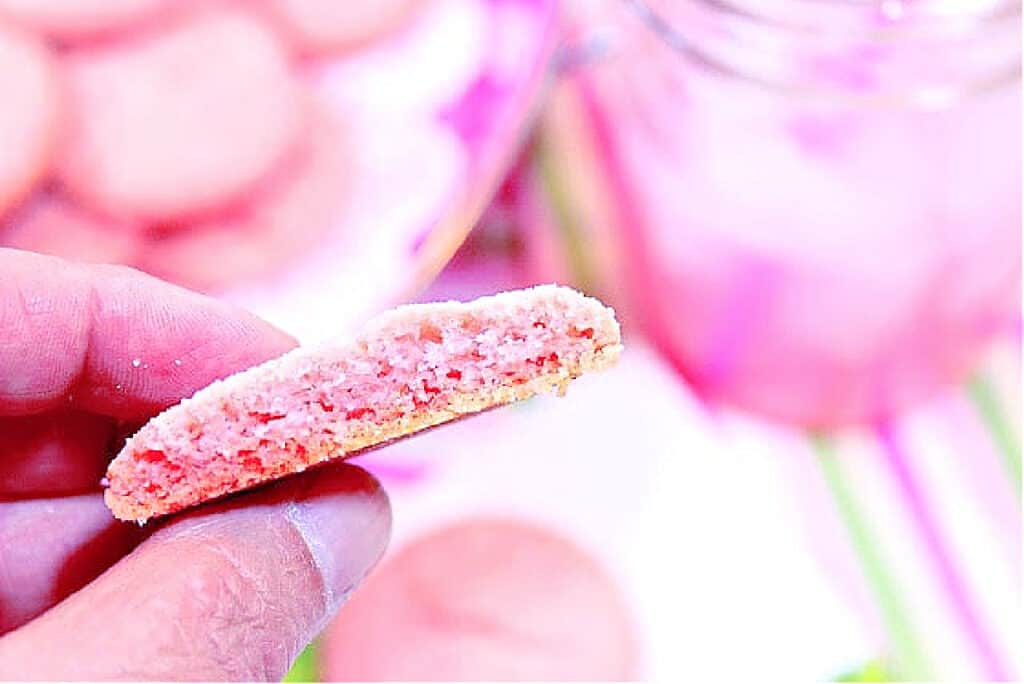 A super closeup horizontal photo of a hand holding a Pink Lemonade Cookie with a bit taken out.