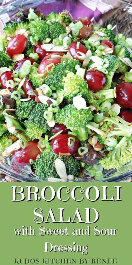 Vertical closeup along with a title text overlay graphic for Broccoli Salad with Sweet and Sour Dressing.