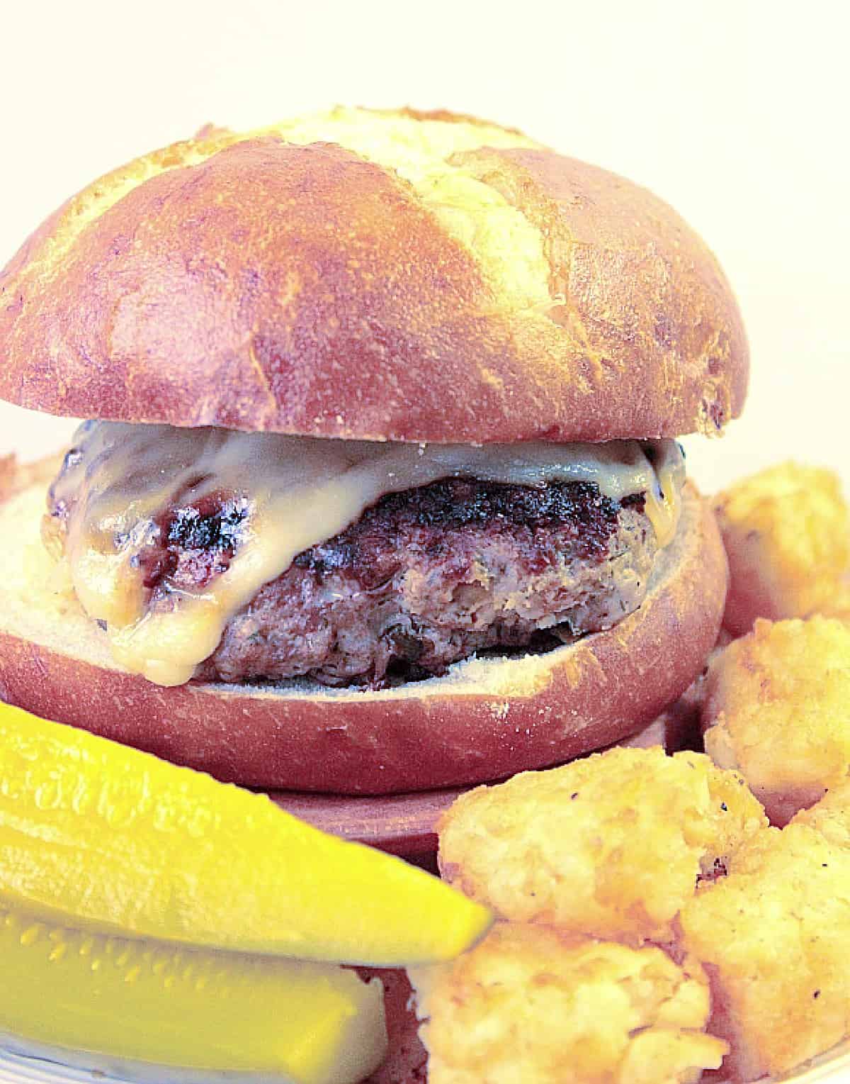 A closeup of a Dilly Swiss Cheese Burger with melted Swiss cheese and a golden brown bun.