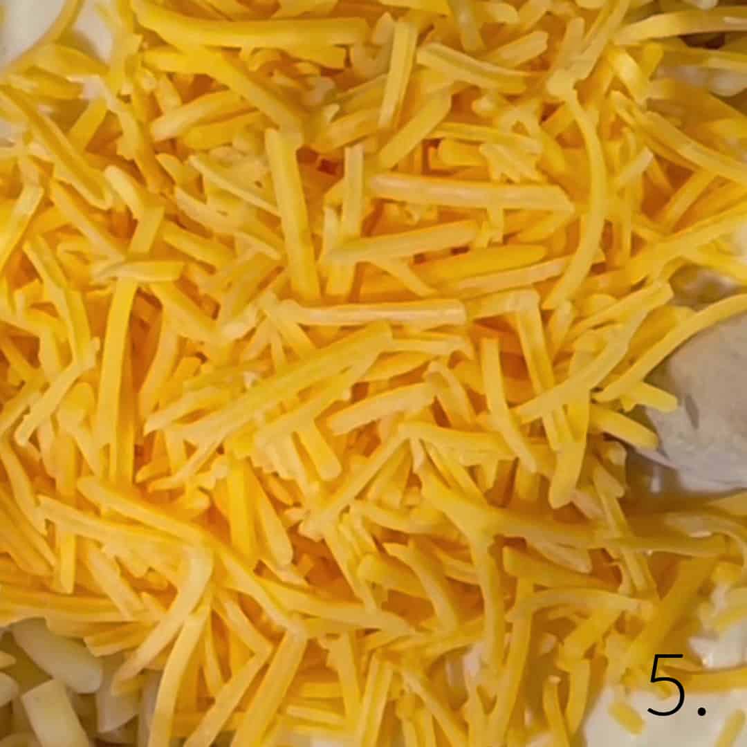 Shredded cheddar cheese over elbow macaroni.