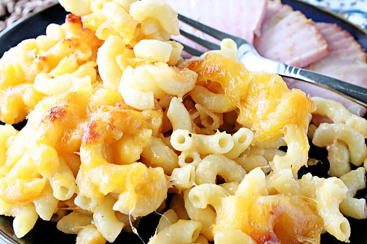 Golden brown with melted cheese Alfredo Mac and Cheese on a plate with ham slices.