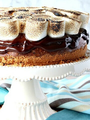 A sideview of a Chocolate Chip S'Mores Cheesecake on a cake stand with marshmallows on top.