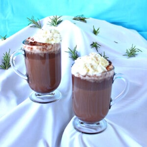 Two glass mugs filled with Vermont Hot Chocolate and set to look like a winter scene.