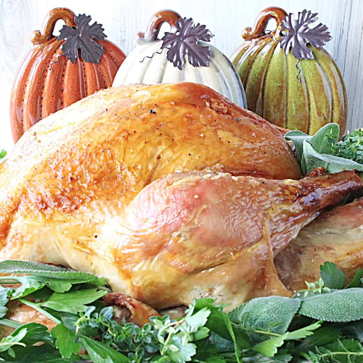 Turkey in a Bag Recipe