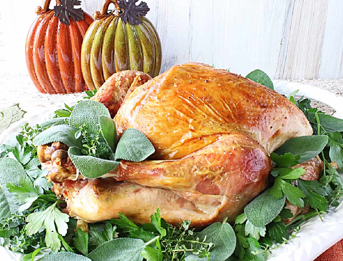 Brown Bag Roast Turkey Kudos Kitchen by Renee