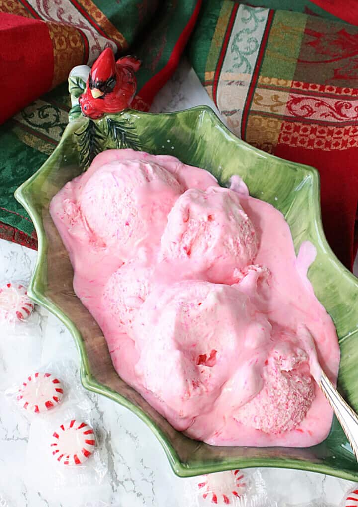 NoChurn Peppermint Schnapps Ice Cream Kudos Kitchen by Renee