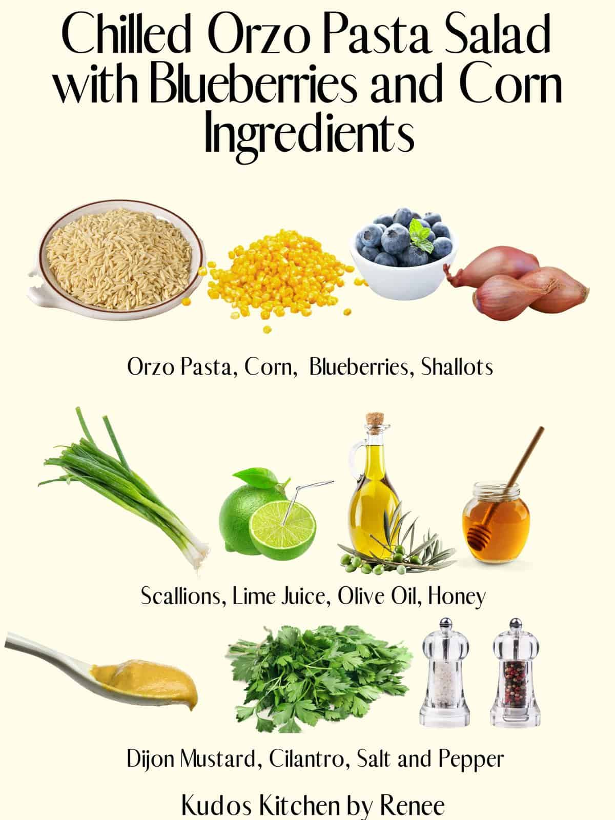 A visual ingredient list for making Chilled Orzo Pasta Salad with Blueberries and Corn.