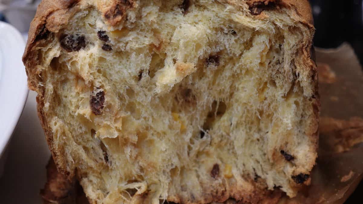 The inside of a panettone.