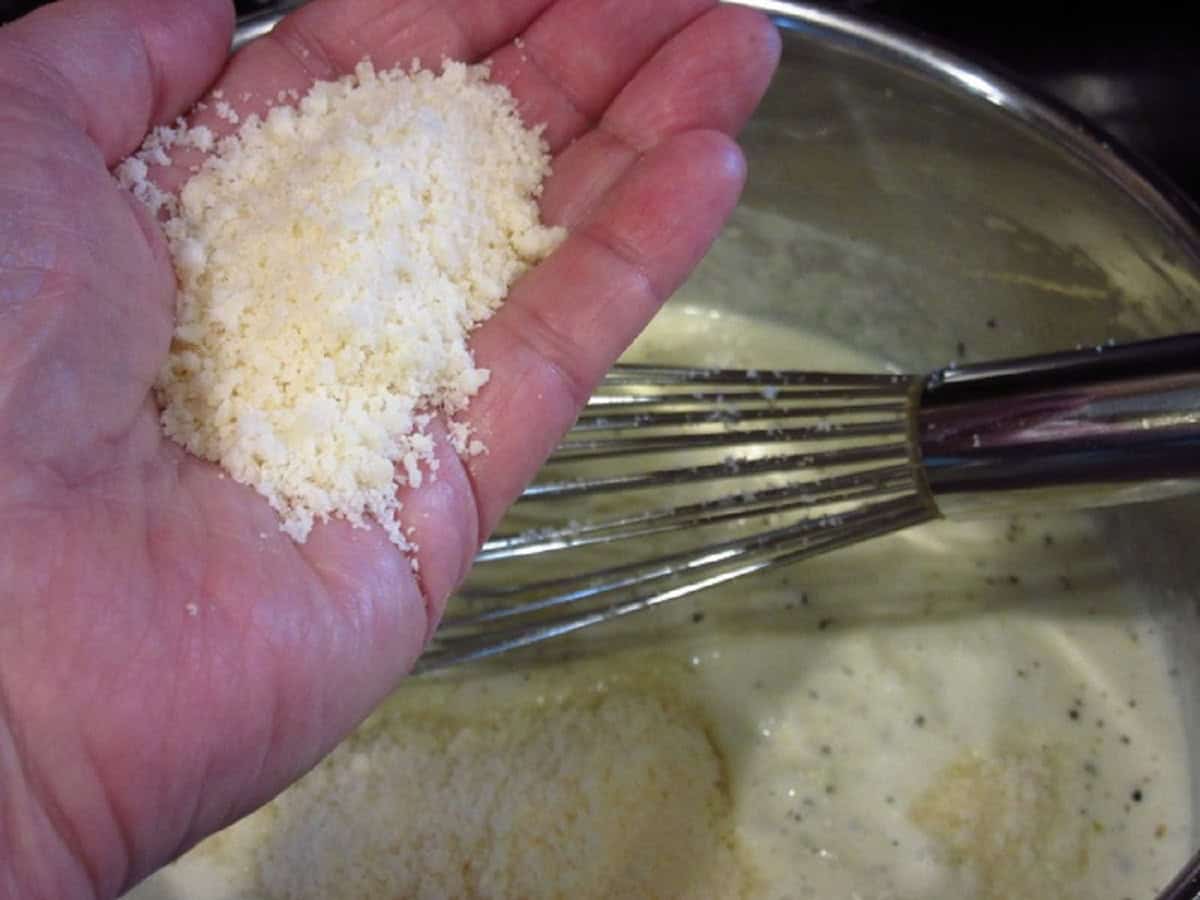 A hand holding a palmful of grated Parmesan cheese.