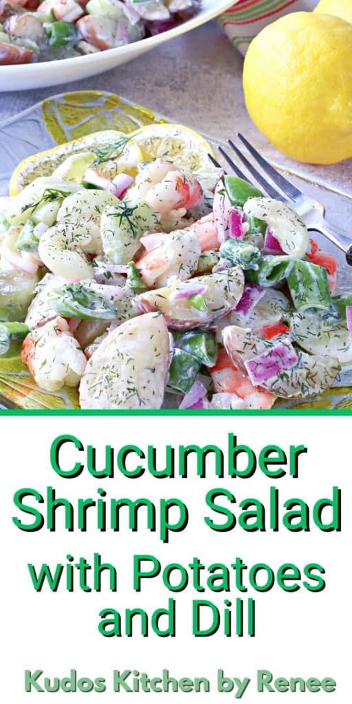 A Pinterest image for cucumber dill salad with a title text.