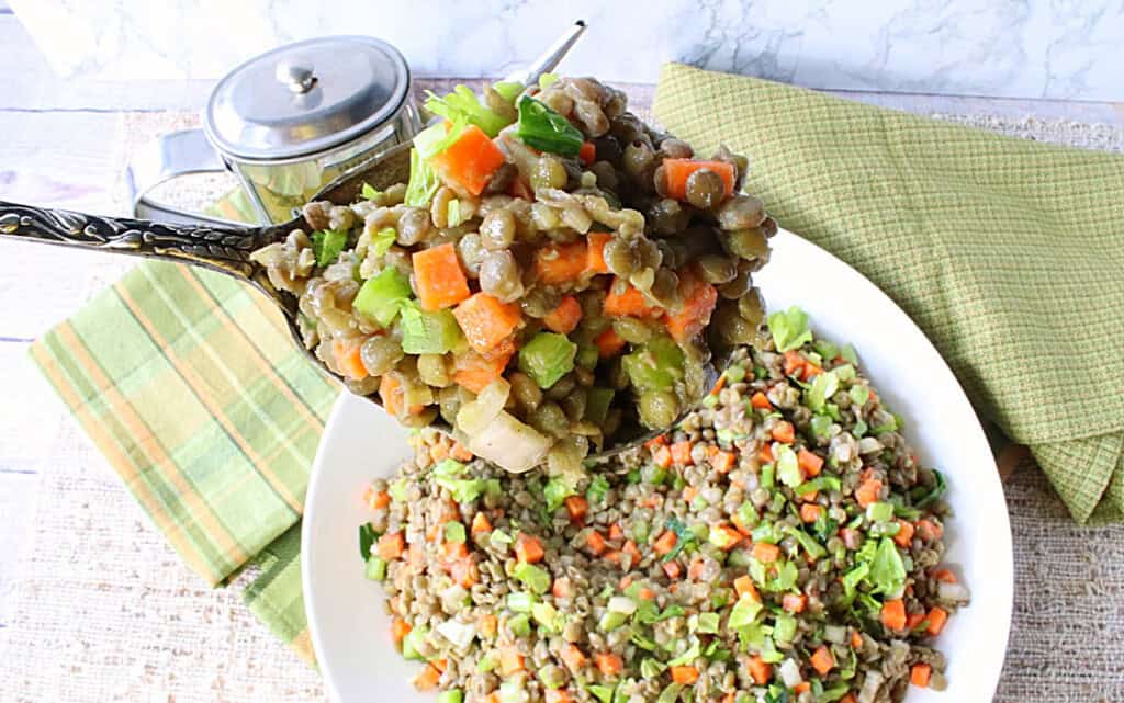A serving spoonful of French lentil salad with carrots and celery.