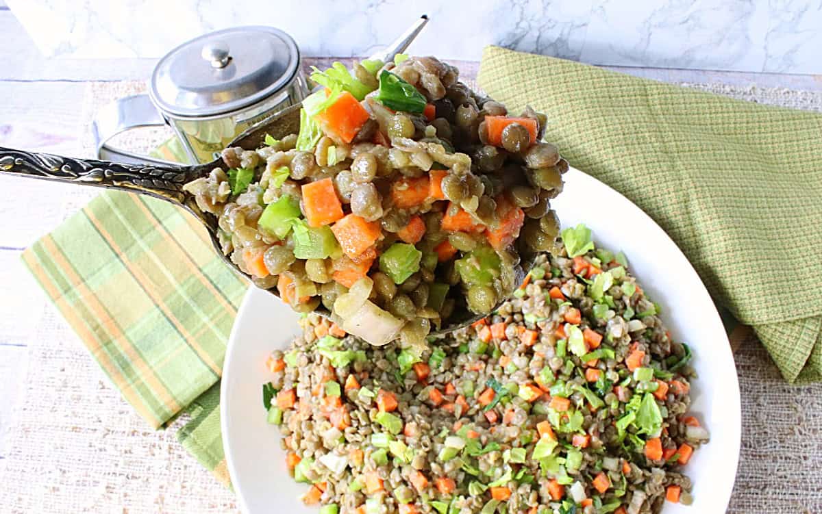 A serving spoonful of French lentil salad with carrots and celery.